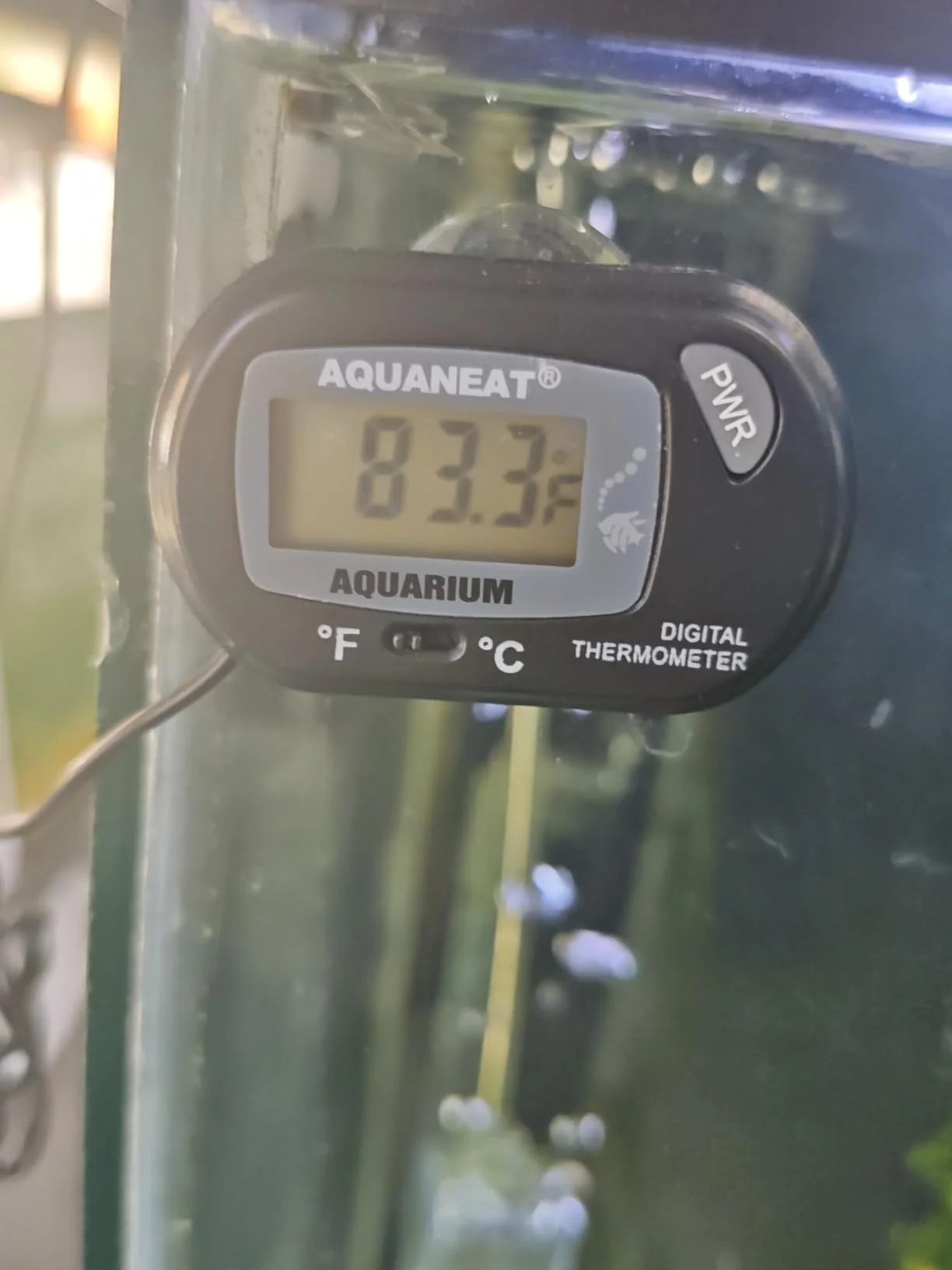 Penn-Plax Therma-Temp Floating Aquarium Thermometer